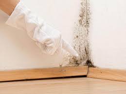 Best Attic Mold Removal  in Jennings, MO